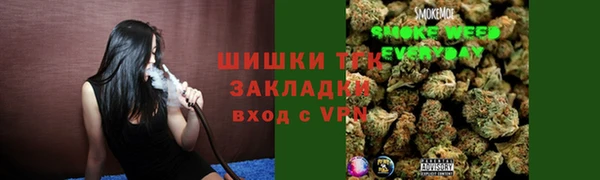 гидропоника Алзамай