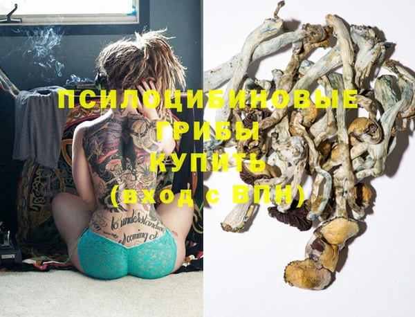 экстази Осташков