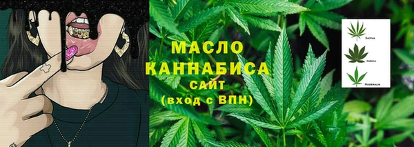 гидра Осинники