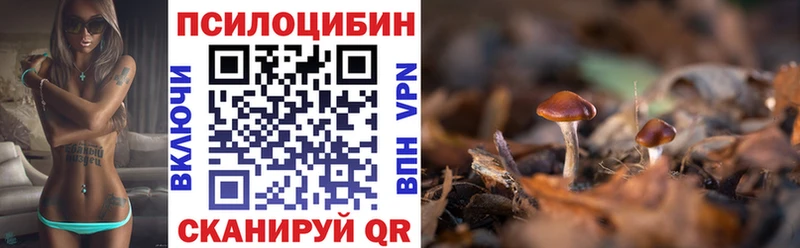 Псилоцибиновые грибы ЛСД  кракен вход  Багратионовск 